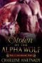 [Accidental Theft 01] • Stolen by the Alpha Wolf